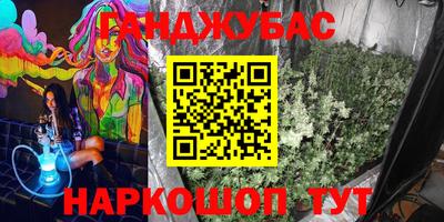 прущие грибы Абинск