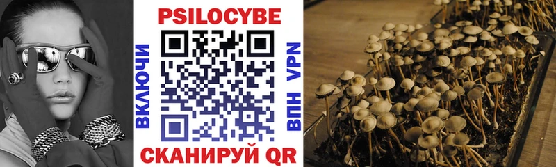 Галлюциногенные грибы Psilocybine cubensis  площадка формула  Славянск-на-Кубани 