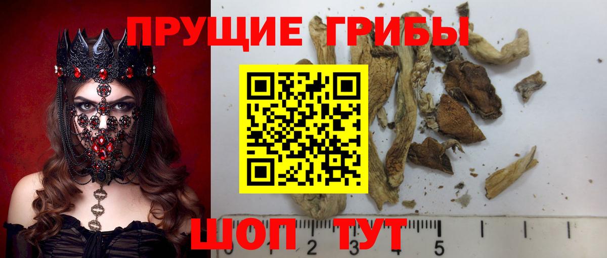 Псилоцибиновые грибы ЛСД Славянск-на-Кубани