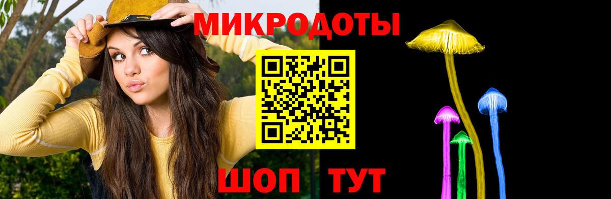 наркошоп  Вход с VPN  Галлюциногенные грибы Psilocybe  Славянск-на-Кубани  Псилоцибиновые грибы мухоморы 